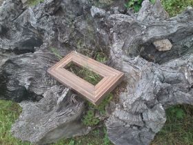 IMG-20130515-WA0007.jpg